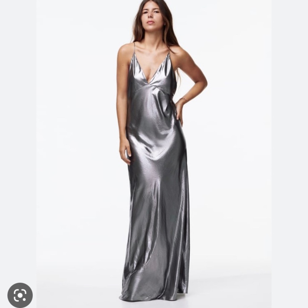 Limited Edition Zara Metallic dress